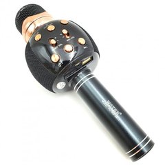 Беспроводной микрофон для караоке DM Karaoke WS-2911 spar-6877 фото