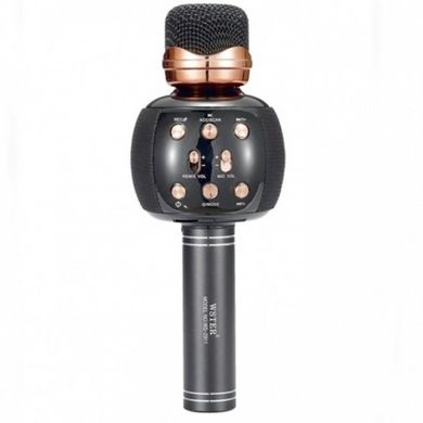 Беспроводной микрофон для караоке DM Karaoke WS-2911 spar-6877 фото