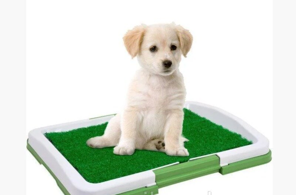Туалет для собак Puppy Potty Pad MH-872 68х42 см OptDropPof-8012254744/2 фото