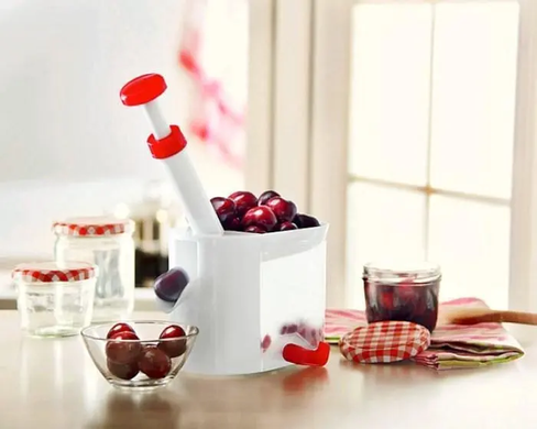 Прибор для удаления косточек Helfer Hoff Cherry and olive corer OptDropPof-448743 фото
