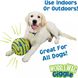 Інтерактивна іграшка-м'яч для собак Wobble Wag Giggle Ball Vener-6-83 фото 4