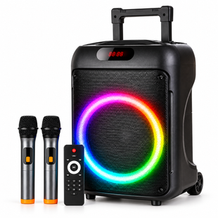Портативная Bluetooth-колонка Wireless Speaker TTD-1209 / Акустическая ситсема 12" с RGB-подсветкой 40 Вт + 2 беспроводных микрофона OptDropPof-VEN-IBS020 фото