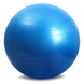 Фитбол Мяч для фитнеса (фитбол) 75 см Rising Anti Burst Gym Ball KaramanPof-ma338blue фото 1