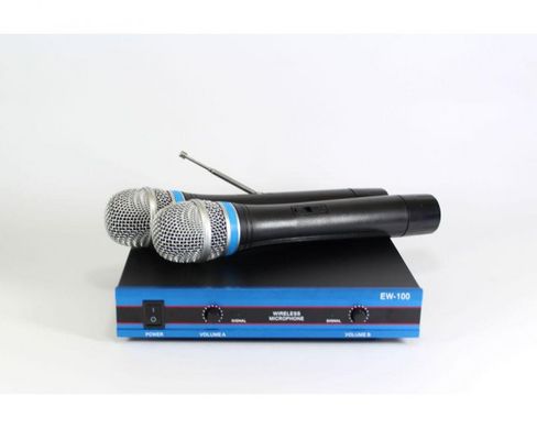 Радіосистема DM EW 100 2 бездротових мікрофона spar-0553 фото