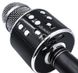 Микрофон для караоке Wster WS-858 spar-3996 фото 2