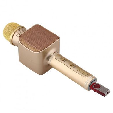 Беспроводной Bluetooth микрофон для караоке DM YS-68 + колонка 2 в 1 spar-7051 фото