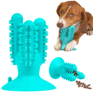 Игрушка для собак Bronzedog PetFun Dental КАКТУС на присоске DtopePof-BP100 фото