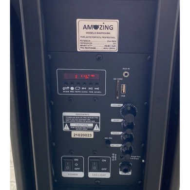 Колонка переносная Big Pro 800 RainbergPof-Big Pro 800 фото