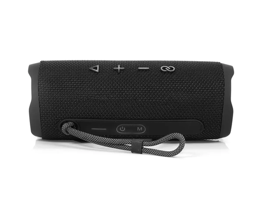 Мінідинамік Bluetooth FP6 EUROmaX-7176 фото