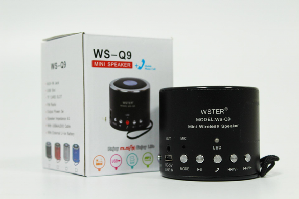 Портативна колонка Bluetooth WSTER WS Q9BT wimpEx-Q9BT фото